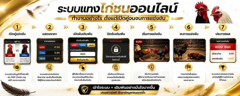 แทงไก่ชน