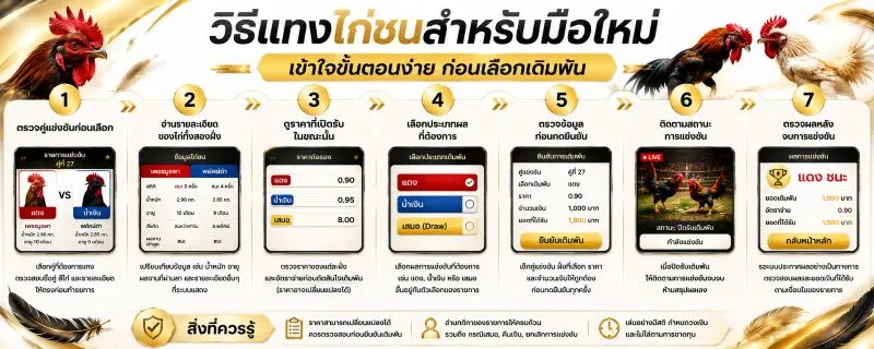 แทงไก่ชน