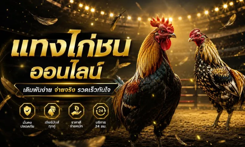 แทงไก่ชน